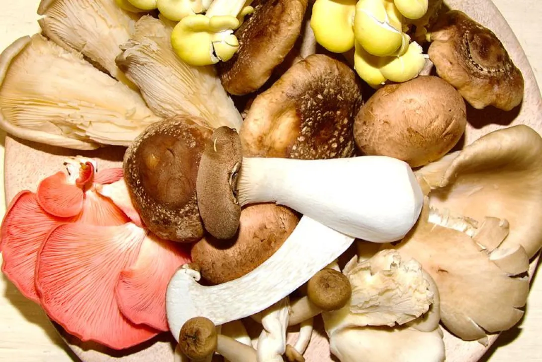 Generic picture of vegetables